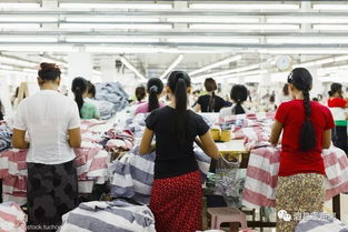 速遞 要火 泗縣被省里看中,獲批開(kāi)展這項(xiàng)工作 草溝鎮(zhèn)積極謀劃2019年度鄉(xiāng)村振興重點(diǎn)項(xiàng)目